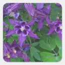 Search for columbine flower stickers Nature