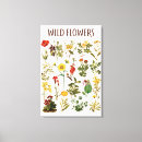 Search for vintage herb posters Flower