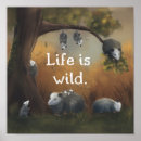Search for life cycle posters Animals