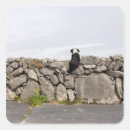 Search for stone walls stickers Nature