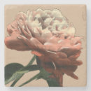 Search for red rose coasters Botanical