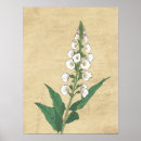 Search for line drawing art Aesthetic