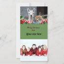 Search for alpaca christmas cards Cute