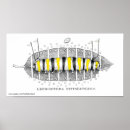 Search for lepidoptera art Entomology