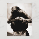 Search for spider monkey Zoo
