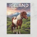 Search for icelandic horse Pony