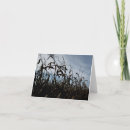Search for stalking cards Fall