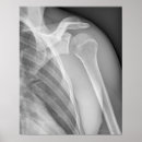 Search for spine art Vintage