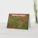 Search for flower wheels postcards Red