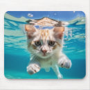 Search for fun cat mouse mats Pet