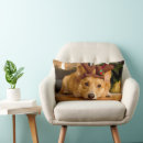 Search for corgi christmas cushions Cute
