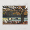 Search for autumn forest postcards National park