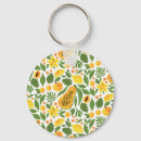 Search for mangoes key rings Illustration