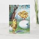 Search for vintage chicken easter cards Poultry