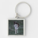 Search for rearing key rings Wildlife