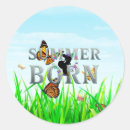 Search for born to surf stickers Summer