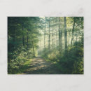 Search for forest path postcards Woodland