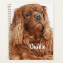 Search for cocker office supplies Animal