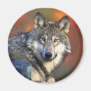 Search for wolf magnets Silly
