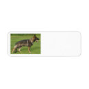 Search for breeds return address labels German shepherd