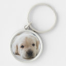 Search for golden labrador retriever key rings Cute