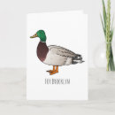 Search for cartoon ducks cards Bird