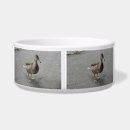 Search for funny dog bowls Animals