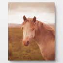 Search for horse plaques Pony