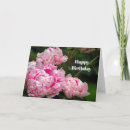 Search for pink peony birthday cards Pretty