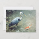 Search for koi fish painting postcards Nature
