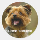 Search for yorkies stickers Animal