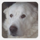 Search for handsome stickers Beautiful