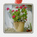 Search for geranium christmas tree decorations Nature