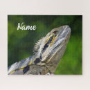 Search for australian wildlife puzzles Nature