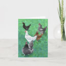 Search for farm animals note cards Hen