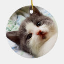 Search for grey kitten christmas tree decorations Heart
