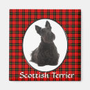 Search for scotty magnets Scottish