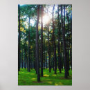 Search for enchanted forest posters Trees