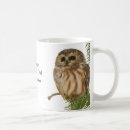 Search for whet mugs Northern saw whet owl