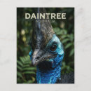 Search for australia cairns postcards Travel