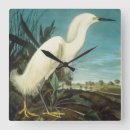 Search for america clocks John james audubon