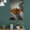 Search for tortoiseshell posters Animal
