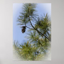 Search for needles posters Botanical