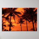 Search for large tree posters Tropics