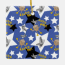 Search for shuttle christmas tree decorations Astronomy
