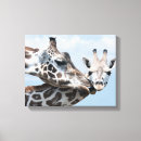 Search for young animal canvas prints Colour image