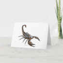 Search for scorpions cards Nature