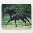 Search for thoroughbred mouse mats Running