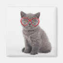 Search for kitten magnets Pet