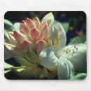 Search for azalea mouse mats Flower
